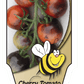 Tomate cerise Bleuet - Mon jardin en ligne