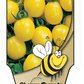 Tomate cerise Jaune - Mon jardin en ligne