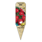 Tomate cerise Juliet - Mon jardin en ligne