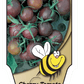 Tomate cerise Noire - Mon jardin en ligne