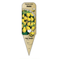 Tomate cerise Poire Jaune - Mon jardin en ligne
