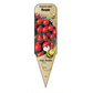Tomate cerise Poire Rouge - Mon jardin en ligne