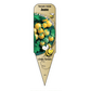 Tomate cerise Raisin Jaune - Mon jardin en ligne