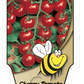 Tomate cerise Sweet 100 - Mon jardin en ligne