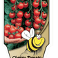 Tomate cerise Sweet Million - Mon jardin en ligne