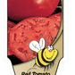 Tomate rouge Beefsteak - Mon jardin en ligne